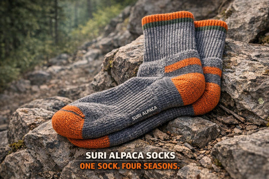 Moisture-Wicking Socks for Hikers: Reviews