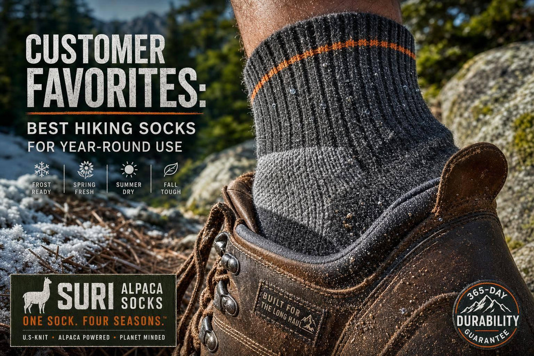 Customer Favorites: Best Hiking Socks for Year-Round Use