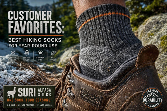 Customer Favorites: Best Hiking Socks for Year-Round Use