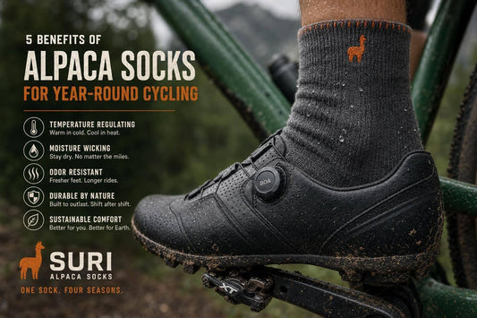 5 Benefits of Alpaca Socks for Year-Round Cycling