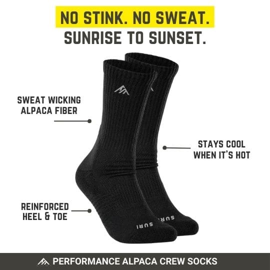 Performance Crew Socks