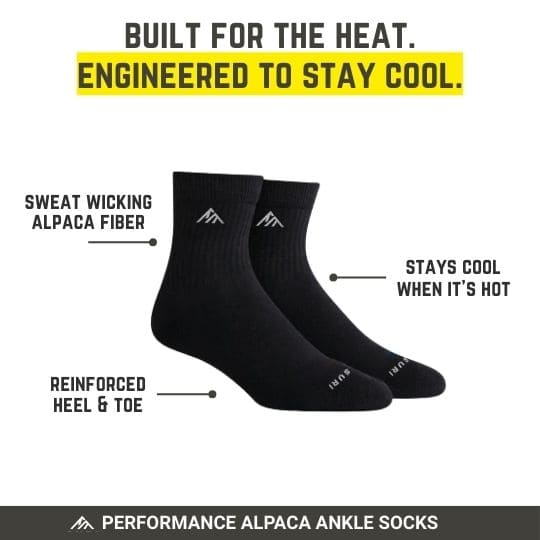 » Ankle Socks (100% off)